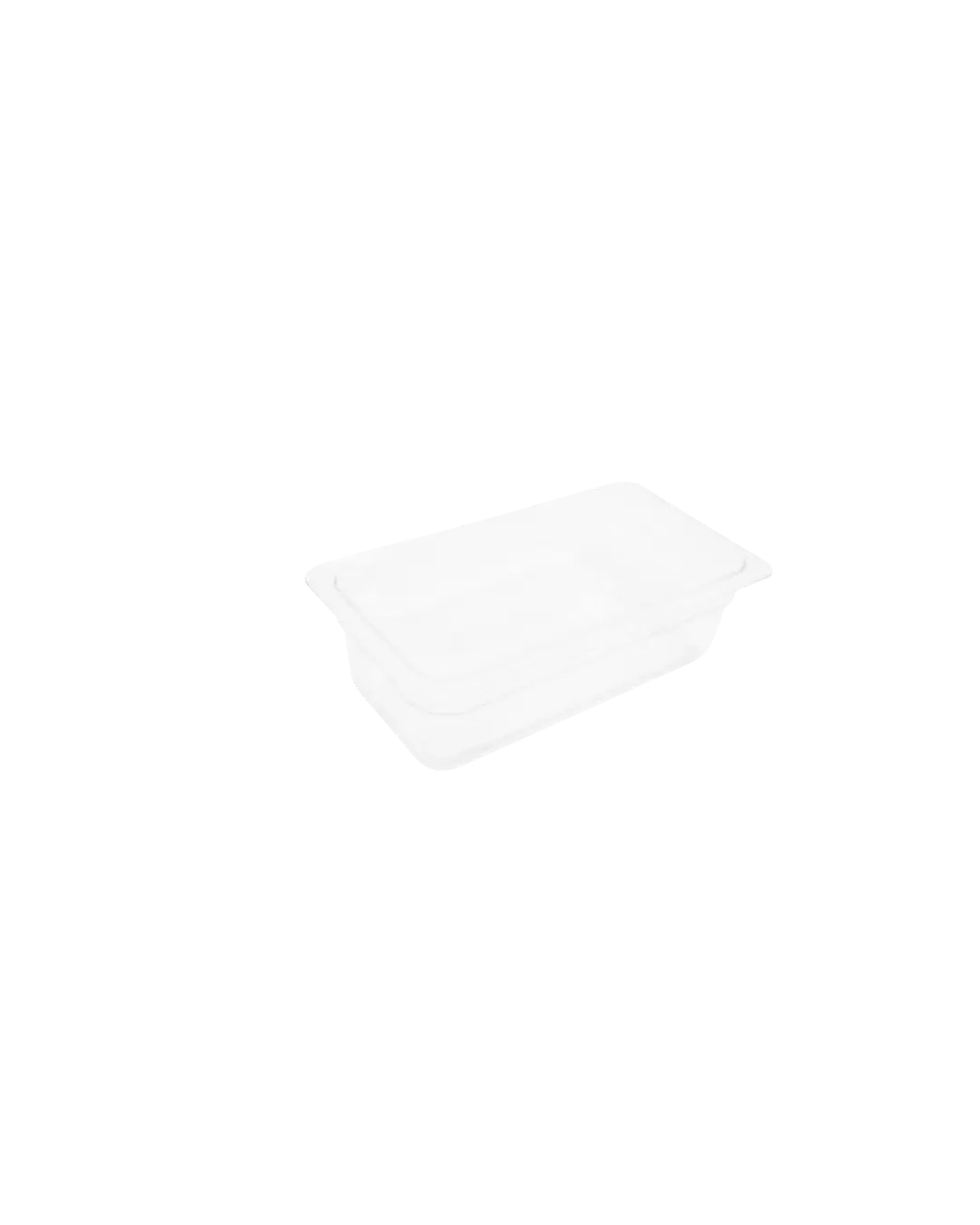 Food Pan Container Bening Tempat Bumbu Basah Dapur Restoran | Mutu PCP-1/3-100 - 5452